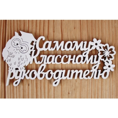 Шильдик Самому классному руководителю (12*6) МДФ 3мм, окрашен., Белый, Уп-10 шт.