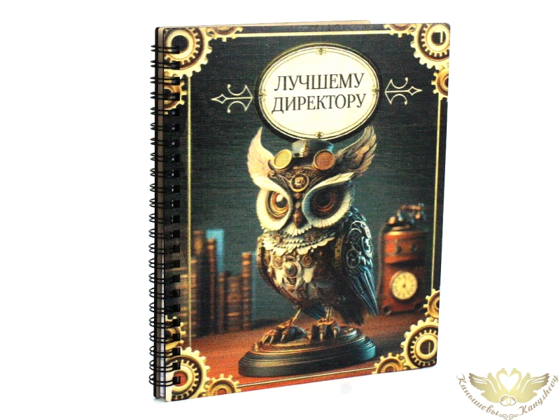 Блокнот на пружине "Лучшему директору" Сова стимпанк (21*18*1,5) Фанера 3мм, УФ печать, оформл., 1 шт. Блокнот на пружине "Лучшему директору" Сова стимпанк (21*18*1,5) Фанера 3мм, УФ печать, оформл., 1 шт.