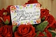 IMG_3636 IMG_3636
